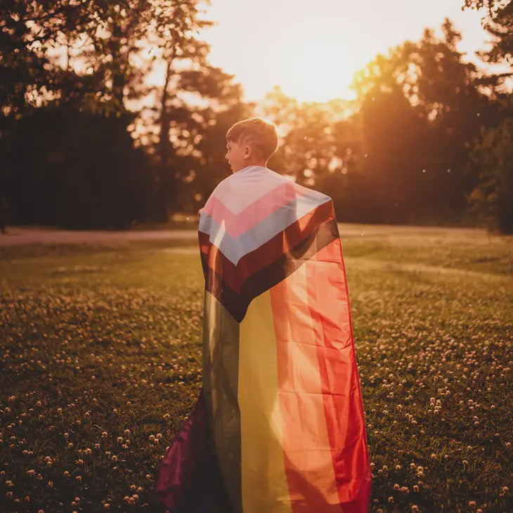 Progress LGBTQ+ Pride Flag (S) 18in x 12in