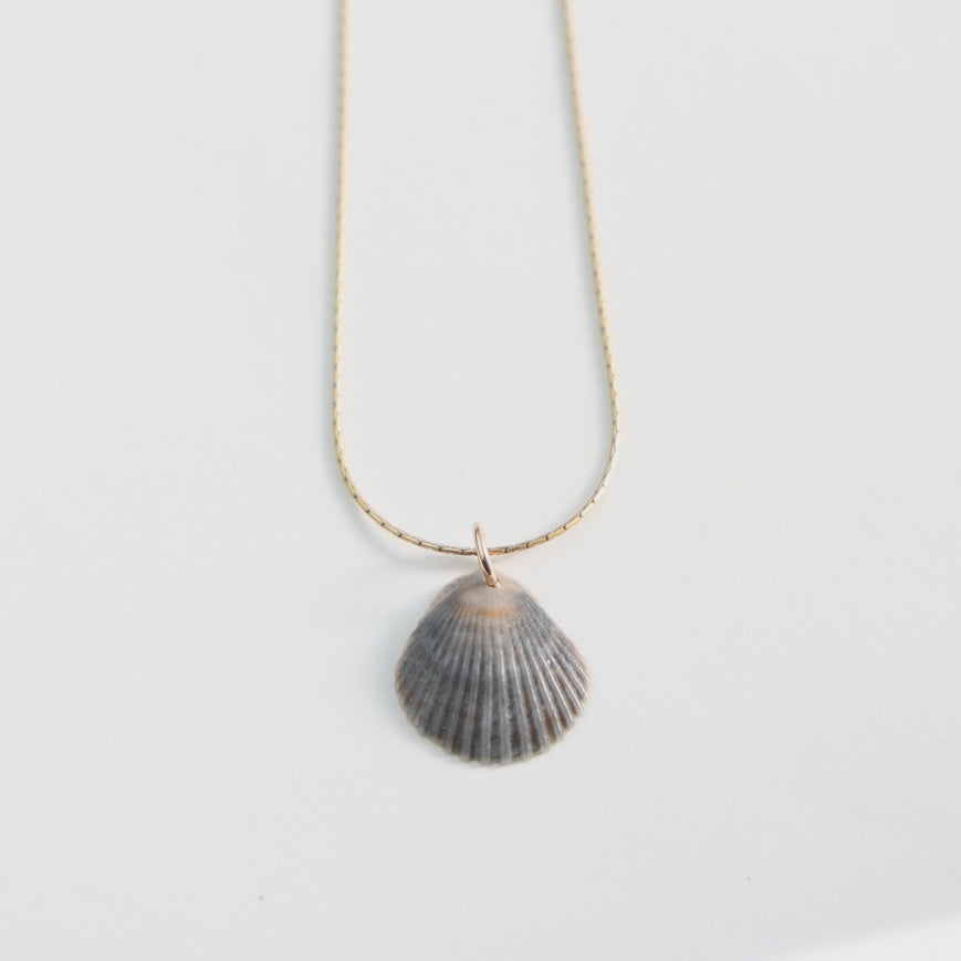 Gold Filled Cape Cod Scallop Shell Necklace